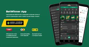 Betwinner Надежная букмекерская платформа для ставок